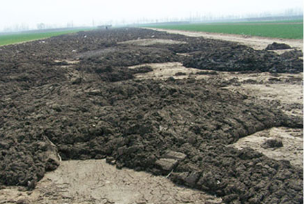 Cow dung fertilizer pellets production line with 1-5T/H capacity